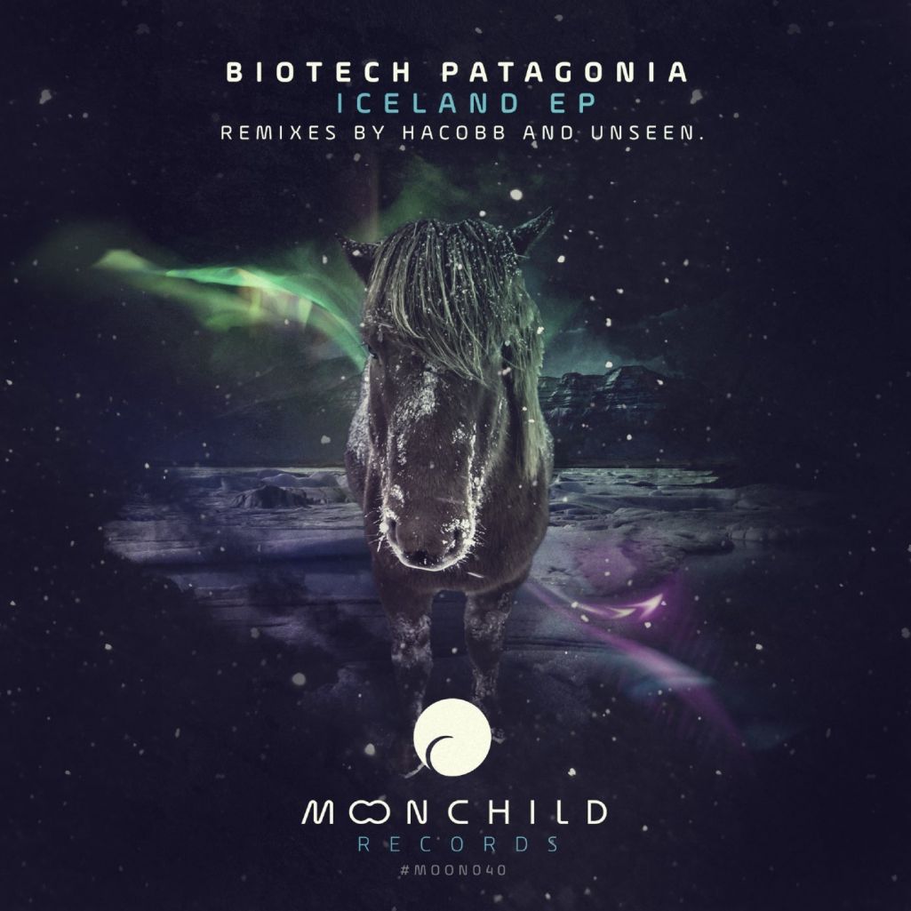Biotech Patagonia - Iceland [MOON40]